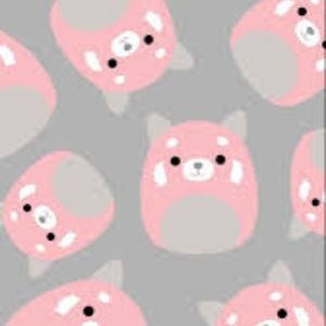 Meet your Posher, Basketball corinne